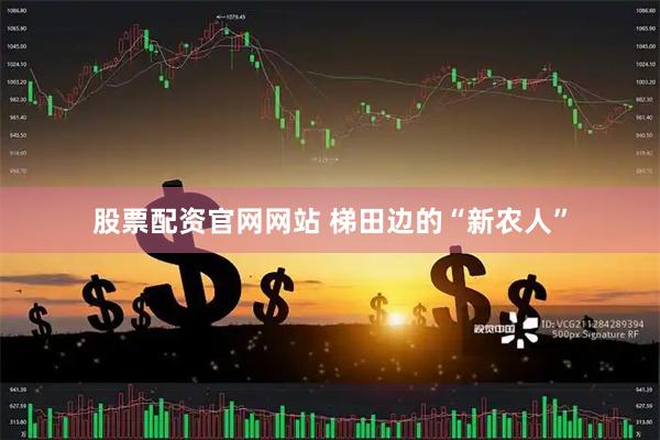股票配资官网网站 梯田边的“新农人”
