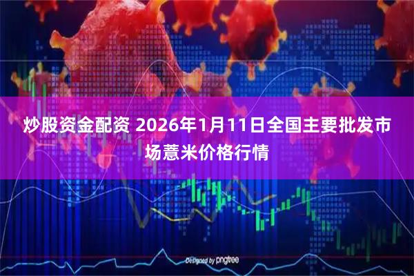 炒股资金配资 2026年1月11日全国主要批发市场薏米价格行情